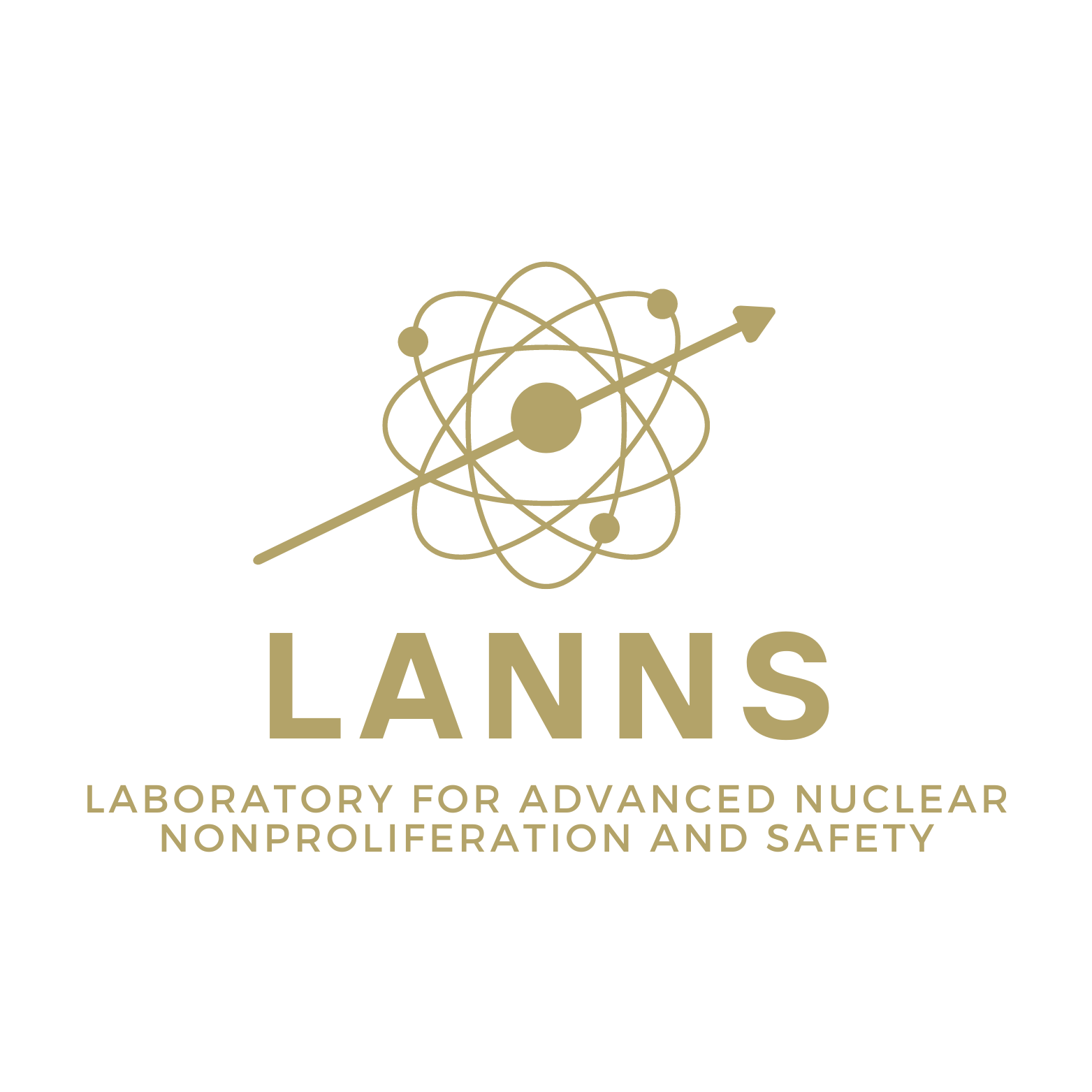 LANNS.png