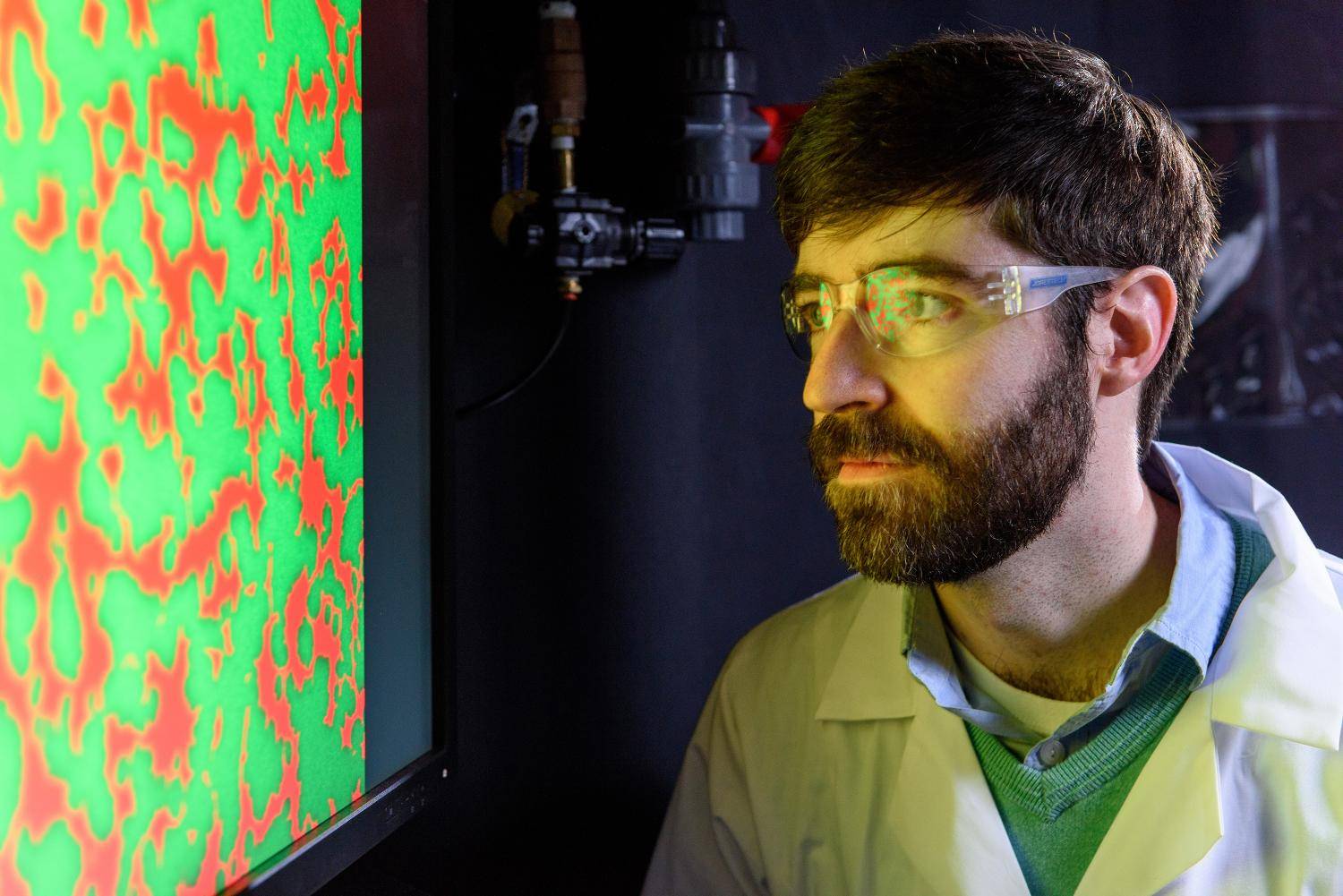 Peter Yunker looking at territorial cholera strains Peter Yunker looking at territorial cholera strains