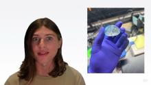 Embedded thumbnail for Convexity Electronics